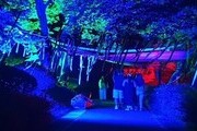 울산 남구, '장생포 한여름 밤의 호러 페스티벌' 개최