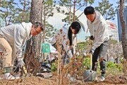 롯데물산, 식목일 맞아 석촌호수 나무심기 봉사활동