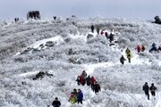  '2023 태백산 눈꽃 전국등반대회' 개최