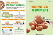 식약처, 위생관리 미흡한 달걀 취급 업체 9곳 적발