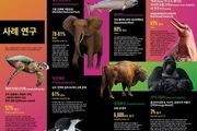 WWF 보고서 