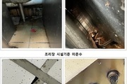 '튀긴 벌레' 신고 맥도날드 청담점 