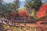 남산 하늘숲길, 한 달 만에 9만 명