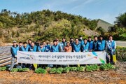 KT&G, 잎담배 농가 이식 봉사활동 진행