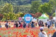 '태화강 국가정원 봄꽃축제' 19∼21일 개최