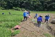 신한금융, 충청지역 수해 복구 봉사활동