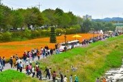 '황룡강 가을꽃축제' 2023년 전남 대표축제 선정