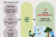 도심 미세먼지 막는 숨은 해법…가로수 설계가 답이다