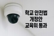 교육위, 학교 안전 종합 대책 법제화