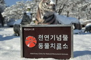 우치동물원, ‘천연기념물 동물치료소’ 지정