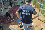 경남도 특사경, 동물학대 적발…검찰 송치