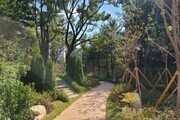 경기도, 471억원 들여 '도시숲' 181곳 조성