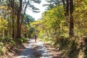 가을에 걷기 좋은 '광양백운산 둘레길'