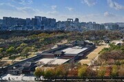 창경궁 궁궐숲 조성 나무심기 봉사활동