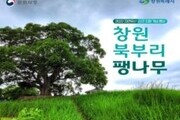 '창원 북부리 팽나무' 천연기념물 지정 기념행사 개최
