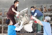 동물학대 번식장 업주 5명 기소