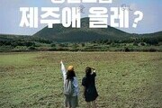70만원 들고 청년들의 제주 체류 도전기