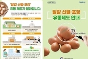 식약처, 여름철 달걀 안전관리실태 집중점검