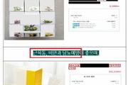 일반광고에 ‘면역건강’ 문구로 오인‧혼동 광고 185건 적발