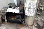 길고양이 급식통에 독극물 수사