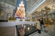인천공항 밀레니엄홀 새명소 'Winter forest, for real' 