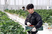 전남도, 청년 농업인 874명 정착 돕는다