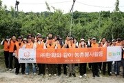 한화 임직원, 농촌 찾아 구슬땀… 연천 사과농가 일손 지원