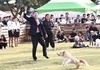 경주시, 음식점 반려동물 동반 허용