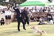 경주시, 음식점 반려동물 동반 허용