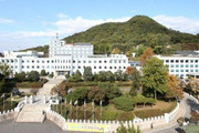 강원도, 청년 창업자에 '최대 5000만원 무이자 대출' 지원