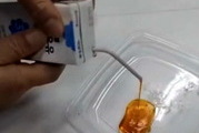 매일우유 