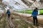 안산도시공사, 충남 청양군 수해현장 봉사활동 펼쳐