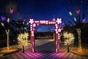4년 만에 돌아온 '2023 개화산 봄꽃축제'