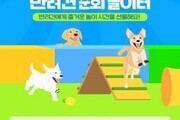 강남구, 반려견 순회 놀이터 운영... 오는 15~30일까지
