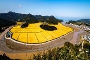 전남도, 친환경 벼 집적화단지 지원