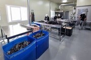 전남도, 하반기 '사회적경제기업 재정지원사업' 공모