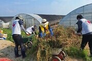인천서 달려간 온정…적십자, 홍성 수해현장 복구 지원