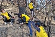 강서구, 강릉 산불 피해복구 자원봉사자 파견과 성금 전달