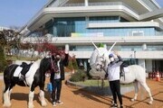 '2022 대한민국 농업박람회'에서 '말산업관' 운영