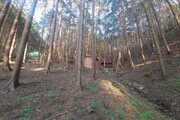 장성 '편백숲' 활용 산촌 자립기반 조성