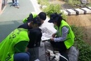 도봉구, '청소년 환경탐사단' 모집
