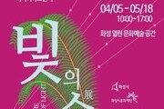 화성 열린 문화예술 공간, 기획전 '빛의 숲' 개최