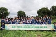 컴투스, 선유도공원서 생태복원 봉사…도심 속 자연 지킨다