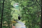  봄 여행 '증평 좌구산휴양랜드' 어때