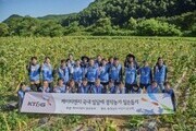 KT＆G, 잎담배 수확 봉사활동…17년째 농가와 상생 실천