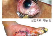 담뱃갑 경고 그림·문구 새롭게 변경