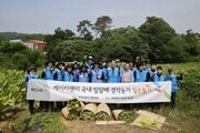 “19년째 함께 걷는 들판”… KT&G, 잎담배 농가 수확 지원 나서