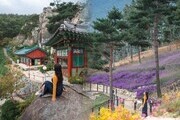 산청서 한 달 여행 즐겨 보세요!