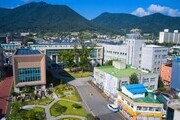 화순 고인돌 봄꽃 축제 자원봉사자 모집